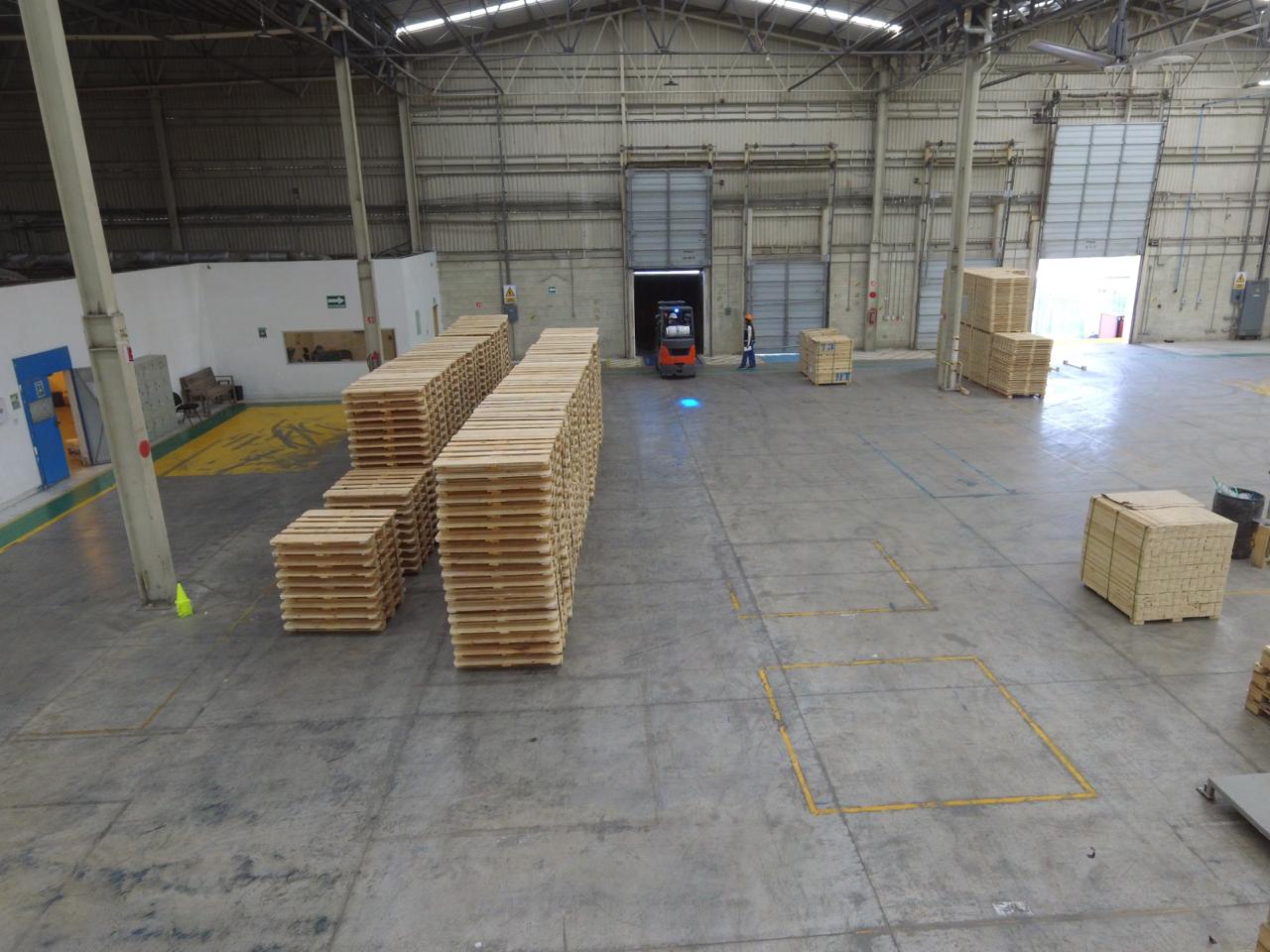 Galería BRASIMEX 6